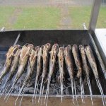 Fischerhock 2016