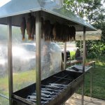Fischerhock 2015